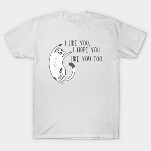 I like you, I hope you like you too, Cat T-Shirt T-Shirt